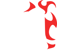 RF Online логотип